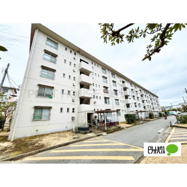 真砂一丁目団地1-11-15号棟