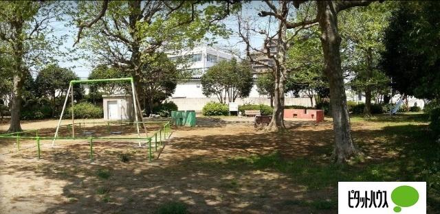 桜木公園