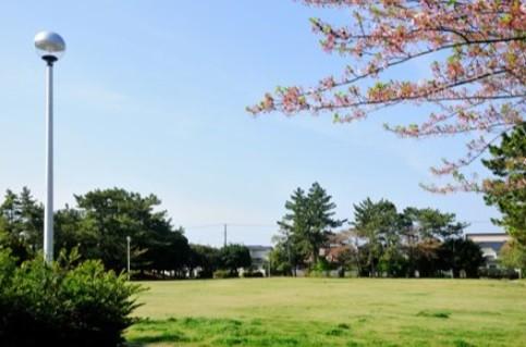 磯辺公園