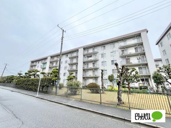 谷津遊園ハイツＢ棟 物件画像