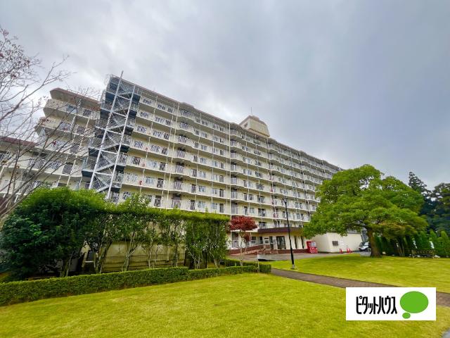 成田中央公園スカイハイツＢ棟　 物件画像