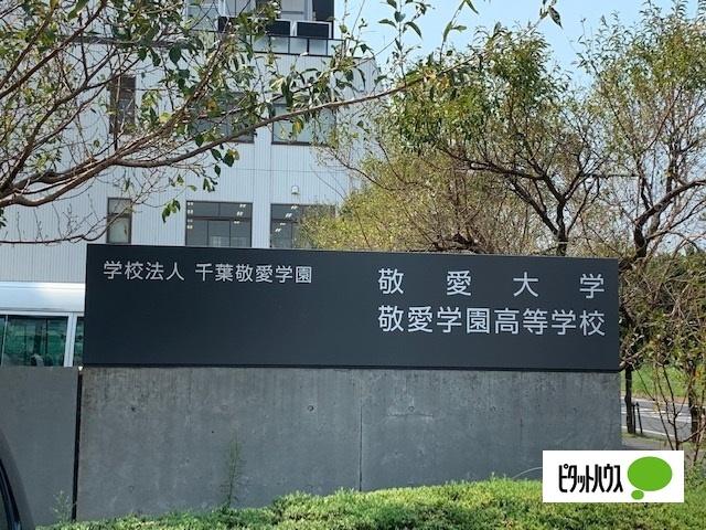 高校