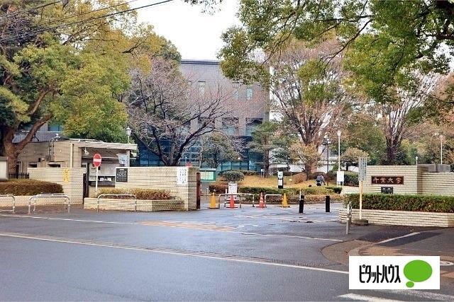 大学