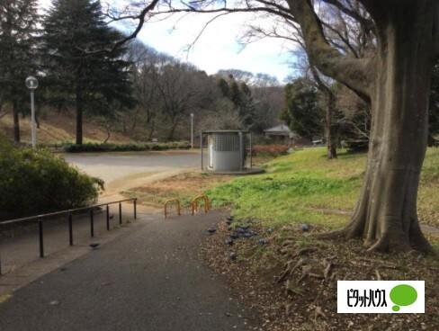 公園