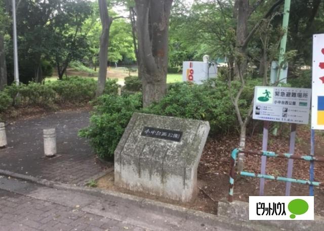 公園