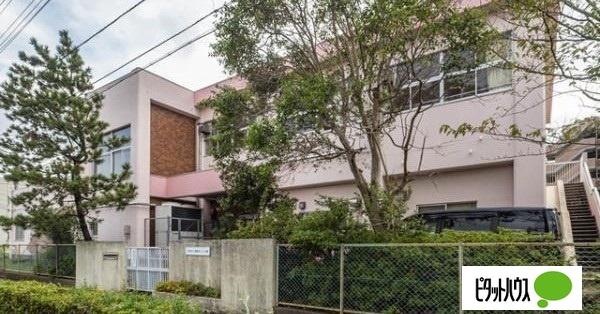 幼稚園、保育園