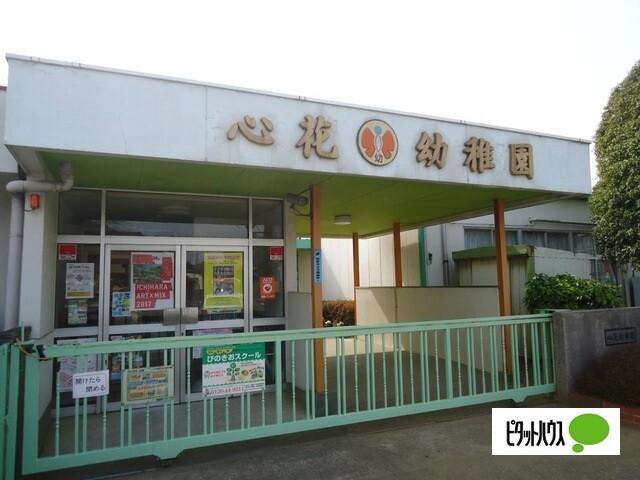 幼稚園、保育園