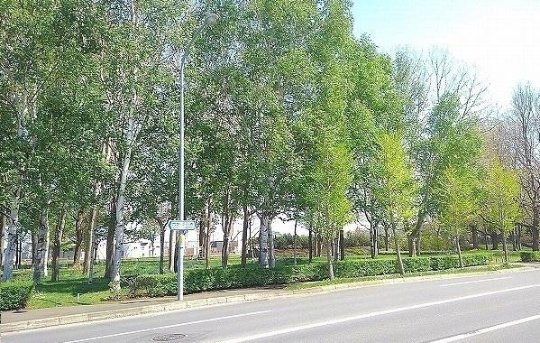 屯田西公園：200m