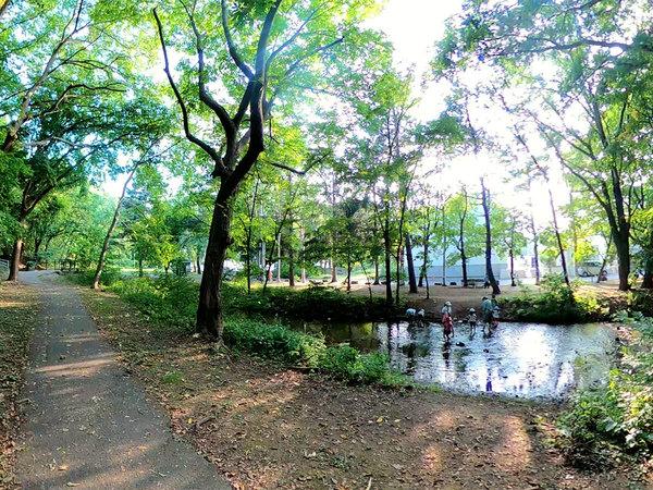 公園