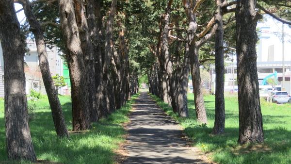 公園