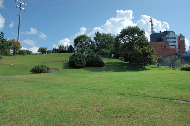 公園