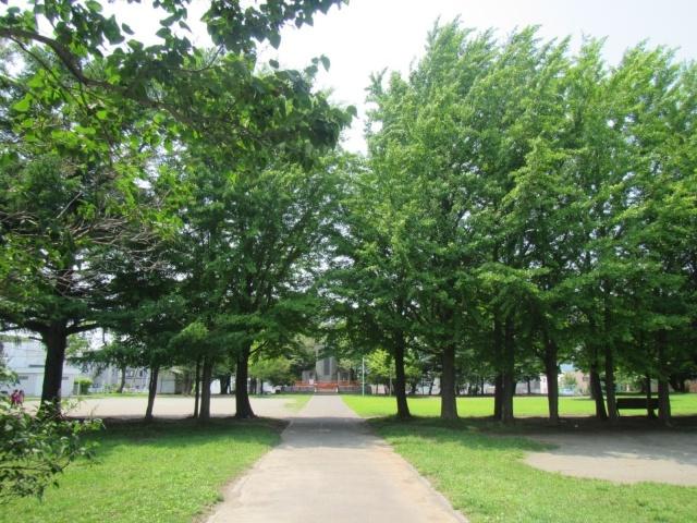 公園
