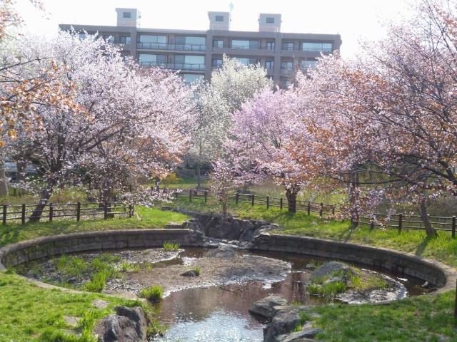 公園
