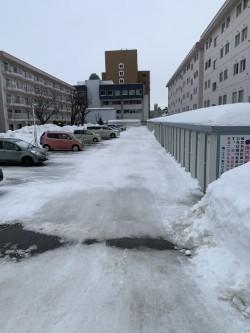 南26条ハウスF棟 駐車場