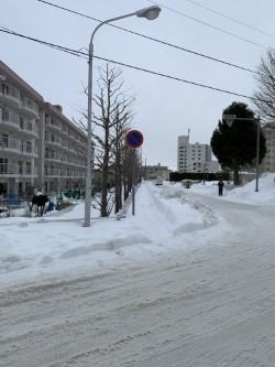 南26条ハウスF棟 その他