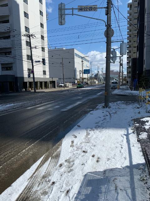 クリーンリバーフィネス山鼻21条 眺望