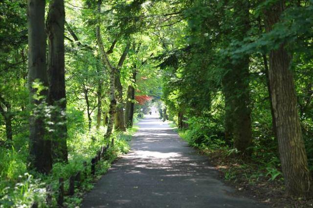 公園