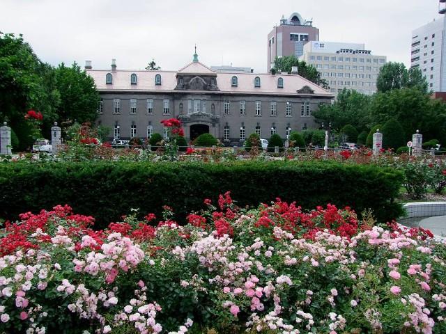 公園
