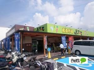 産直市場よってって狐島店：706m
