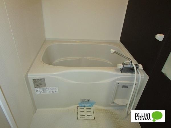 フジパレス市駅東Ⅰ番館（301） 部屋画像