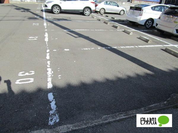 メゾン十番丁（405） 駐車場