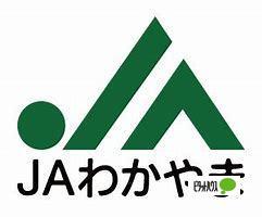 JAわかやま西山東支店：903m