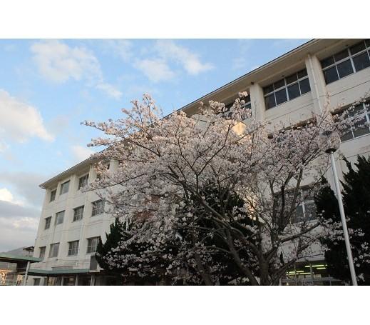 海南市立第三中学校：408m