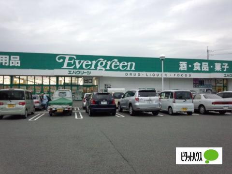 エバグリーン海南店：622m