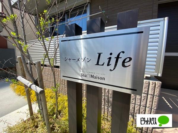シャーメゾンLife その他