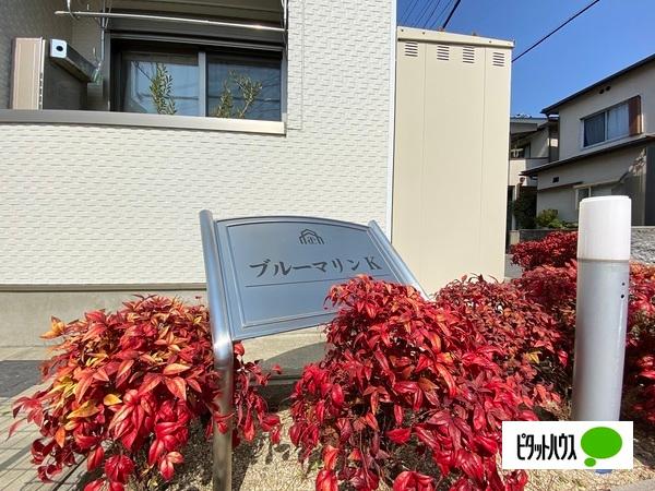 ブルーマリンK（103） その他
