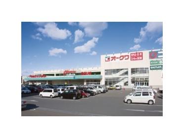 オークワ和歌山中之島店：794m