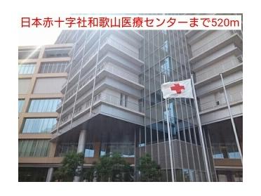 日本赤十字社和歌山医療センター：384m