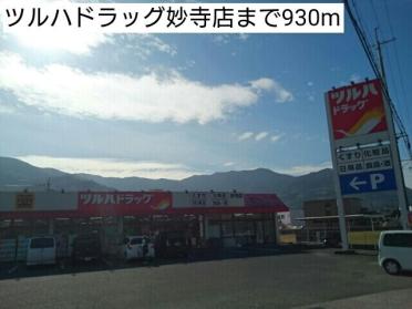 ツルハドラッグ妙寺店様：930m