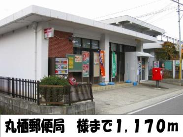 ココカラファイン桃山店：1736m