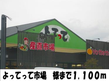 よってって市場様：1100m