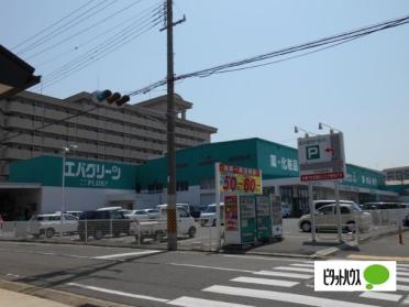 エバグリーンプラス広瀬店：255m