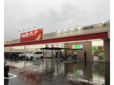 ツルハドラッグ和歌山木ノ本店：796m