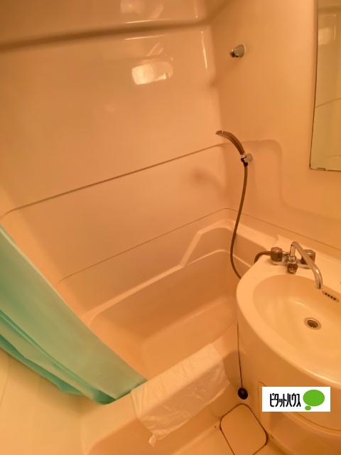 プチマンション津秦（3B） バス／シャワー