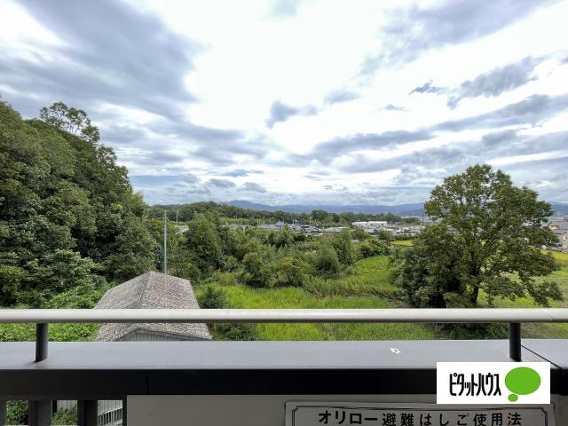 グリーンルーフ（210） 眺望