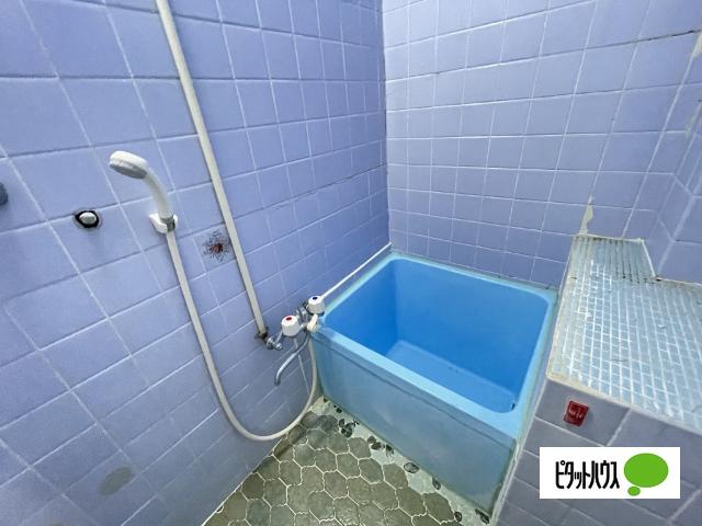 六十谷マンション（17） バス／シャワー