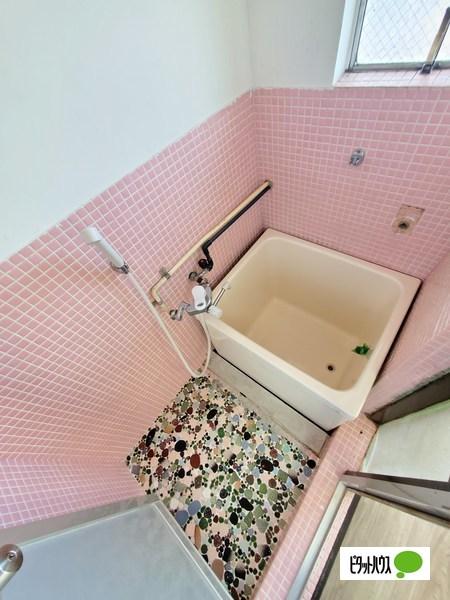 狐島ヒルズ（110） 部屋画像