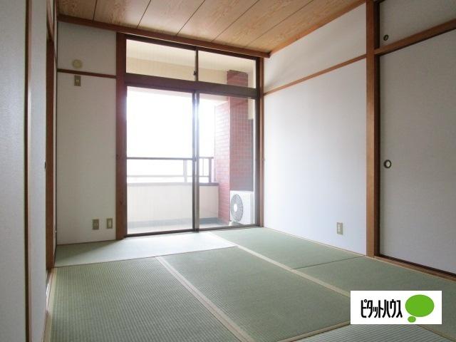 グレイスピア吹上（305） 部屋画像