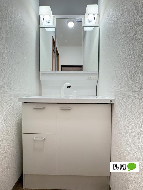 岩出市南大池戸建 洗面