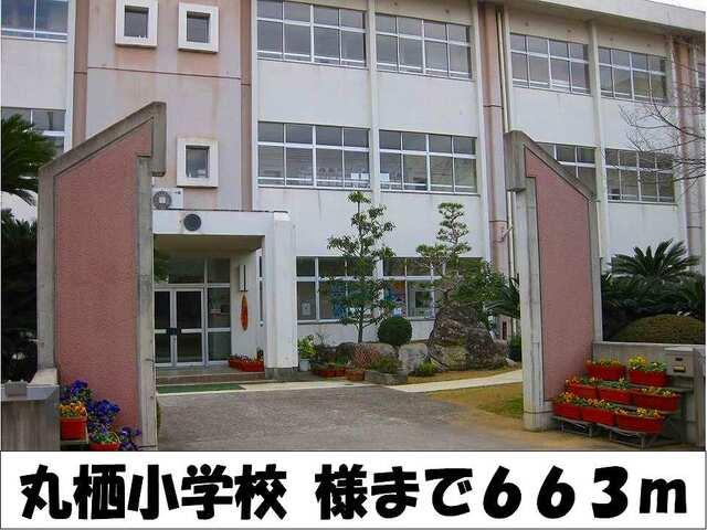 丸栖小学校　様：663m