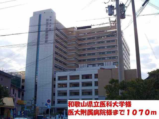 和歌山県立医科大学：6052m