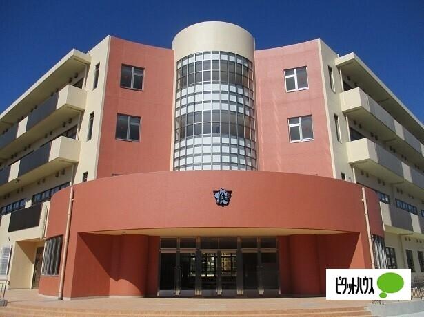 和歌山市立伏虎義務教育学校：313m