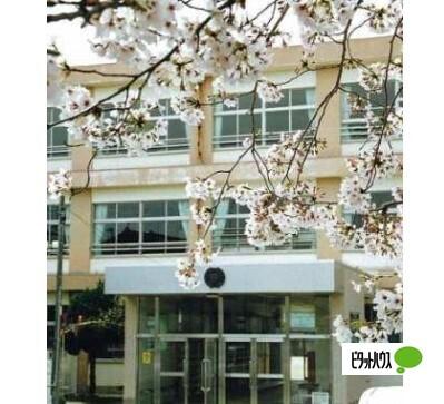和歌山市立野崎小学校：623m