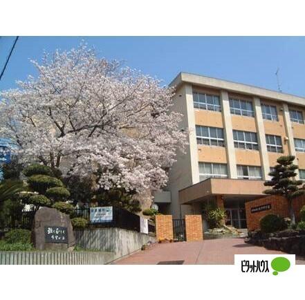 和歌山市立紀伊中学校：3032m