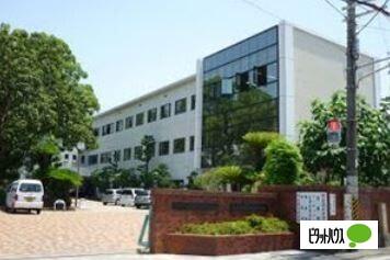 和歌山県立桐蔭中学校：435m