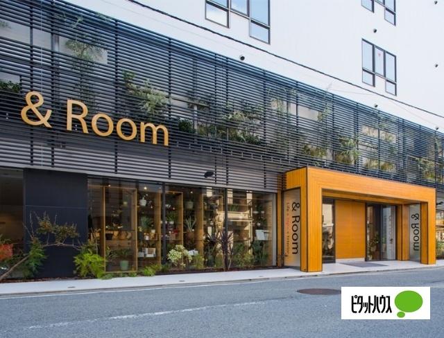 ＆Room：308m